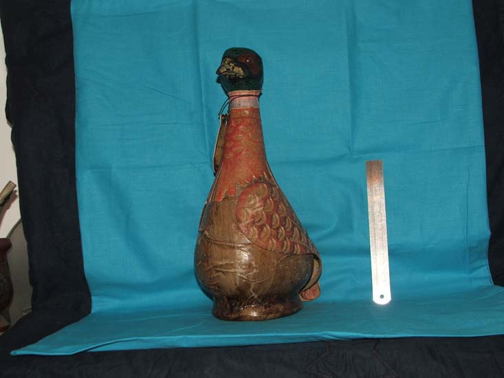 bird