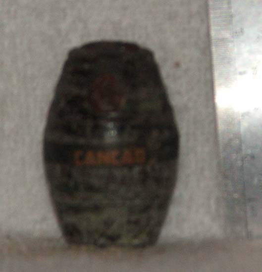 DSCF8754