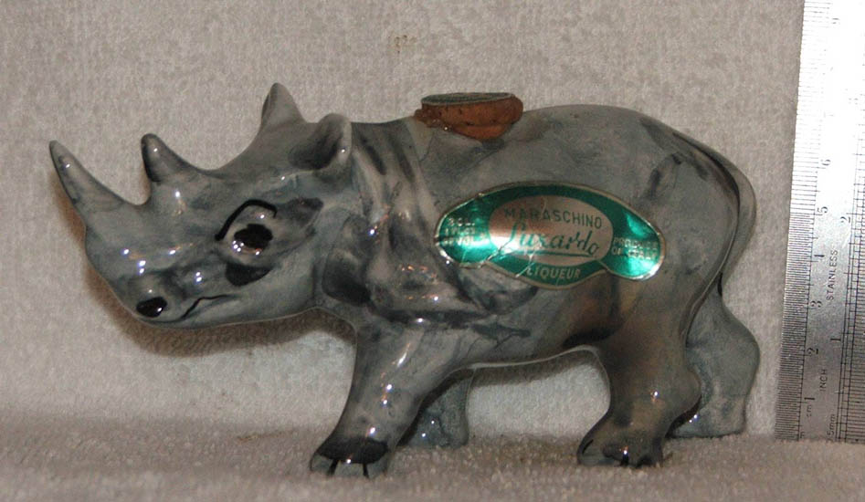 rhino 