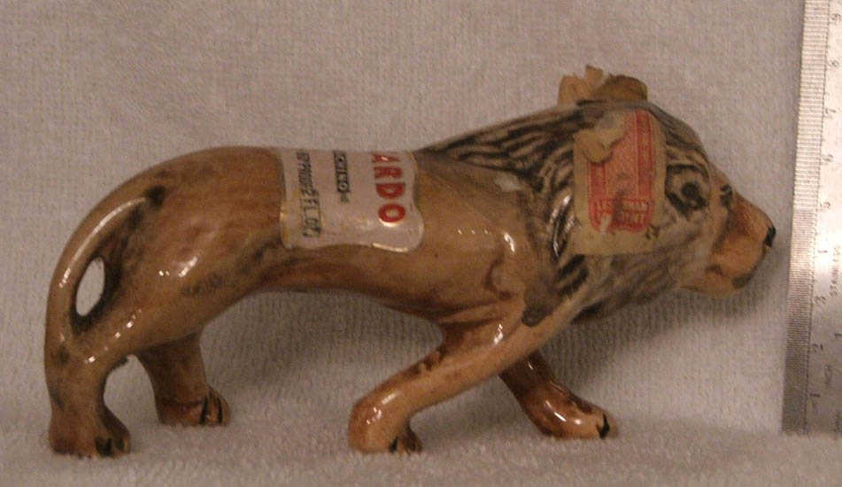 lion
