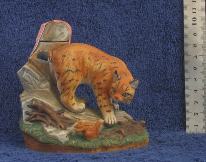 wild cat