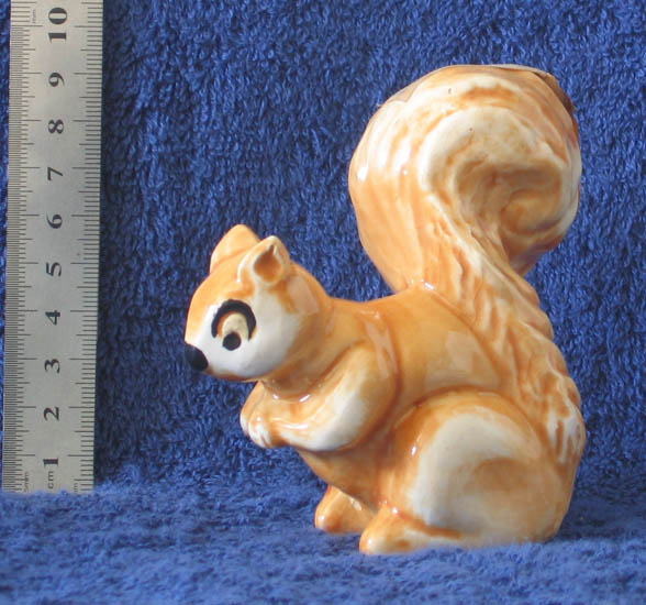 squirrel