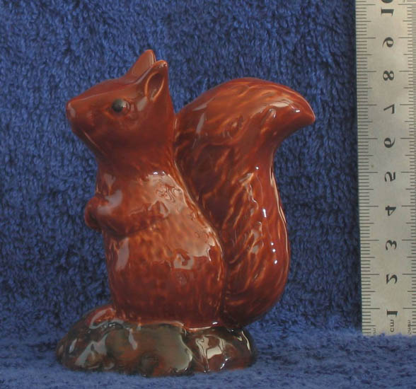squirrel