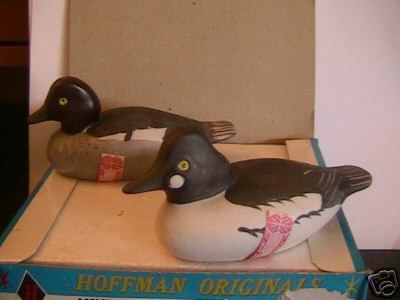  THE "GOLDENEYE" DECOY SET.  