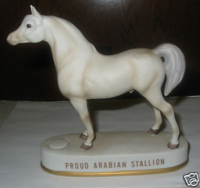 HOFFMAN PROUD ARABIAN STALLION