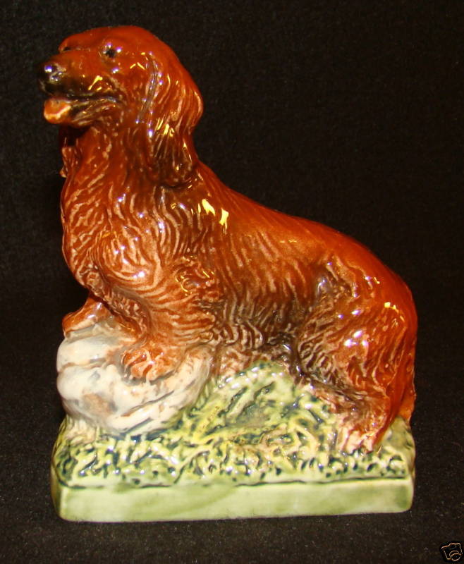 Long Hair Dachshund dog 344