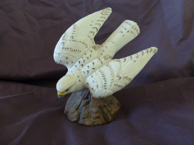 Sky Country - GYRFALCON