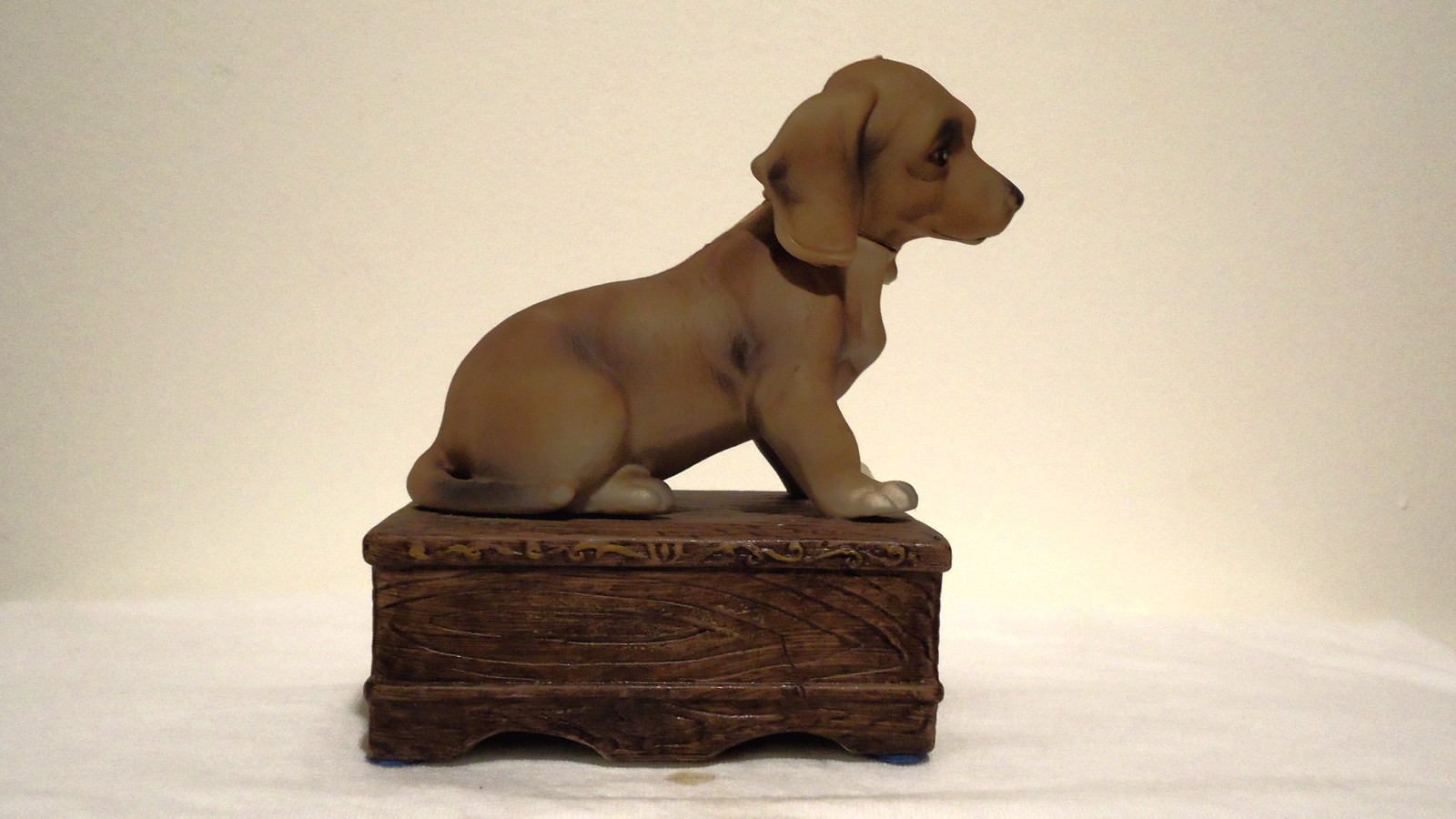 Dashshund