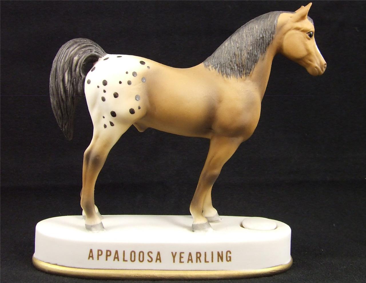 Appaloosa Yearling