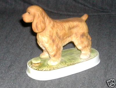 American DOG  -  Cocker Spaniel