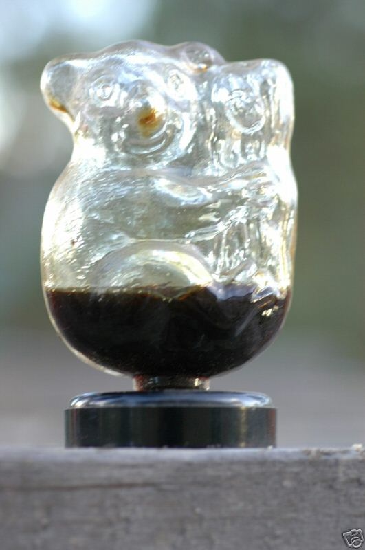 pig bank glass