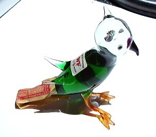 bird