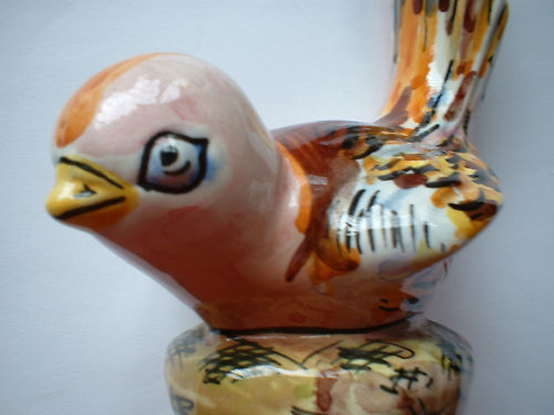 Bird