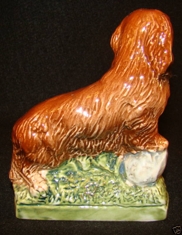 Long Hair Dachshund dog 344