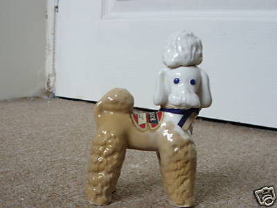 POODLE white
