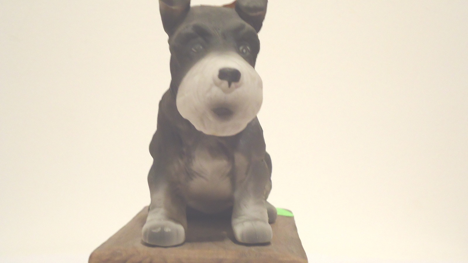Scotch Terrier