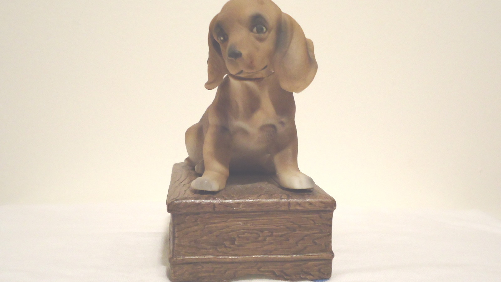 Dashshund
