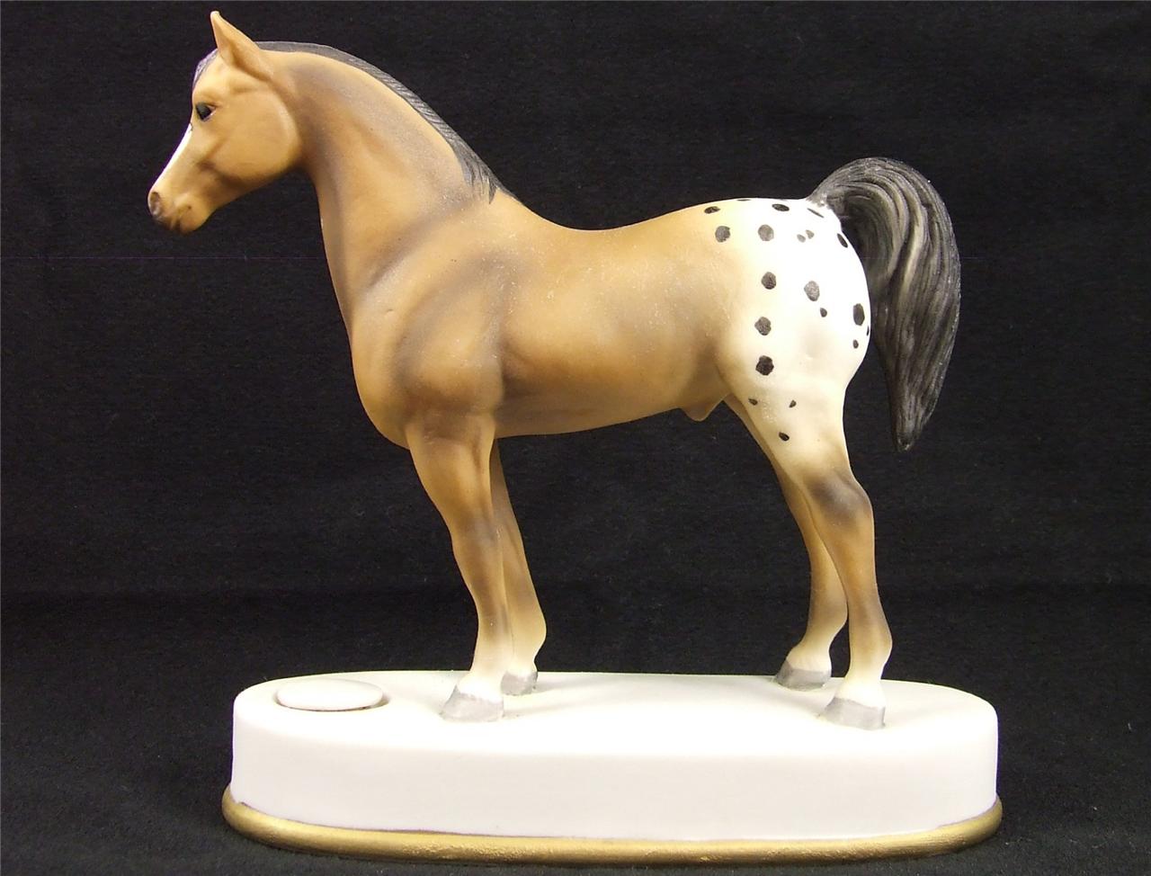 Appaloosa Yearling