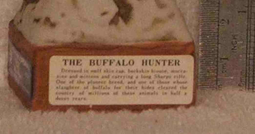The Buffalo Hunter