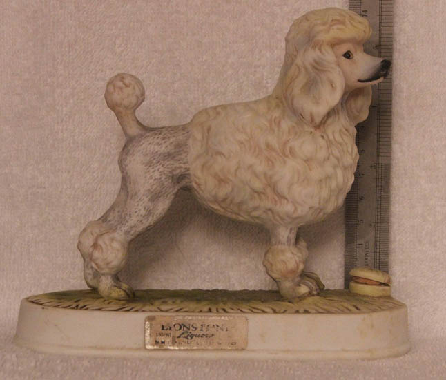poodle dog white