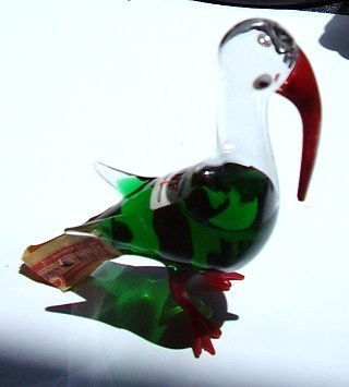bird