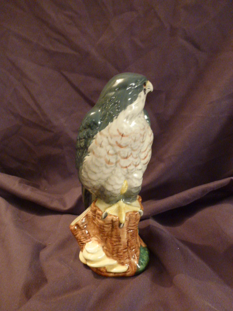 Peregrin Falcon