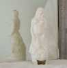venus de la vid