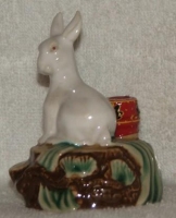 rabbit