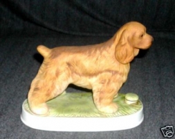 American DOG  -  Cocker Spaniel