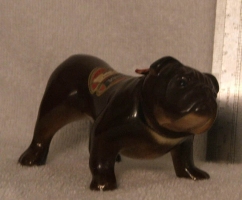 dog - BULLDOG