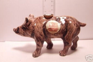 wild pig