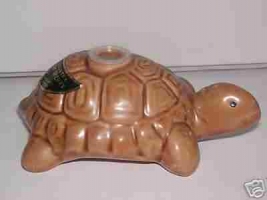 TORTOISE