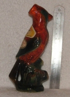 red parrot