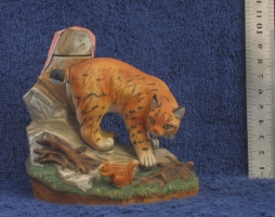 wild cat