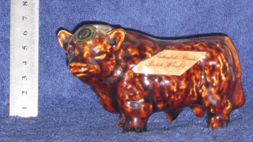 brown bull 