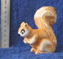 squirrel
