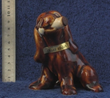 cazanova dog