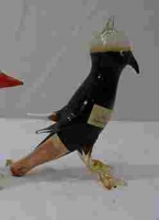 bird 2