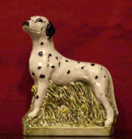 Garnier Dalmatian Dog