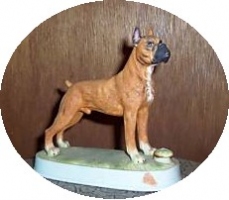 Lionstone Boxer Mini