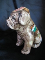 Bull Dog