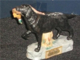 BLACK LABRADOR 