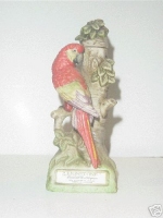TROPICAL BIRDS 6
