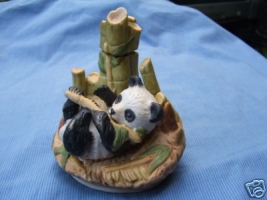 Baby Panda