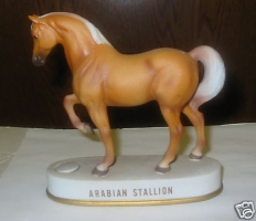 HOFFMAN ARABIAN STALLION