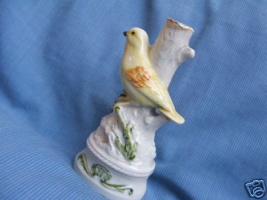 canary bird 