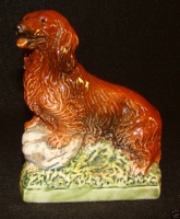 Long Hair Dachshund dog 344