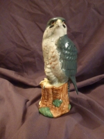 Peregrin Falcon