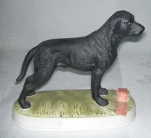 BLACK LABRADOR RETRIEVER 1977