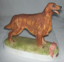 IRISH SETTER DOG 1977